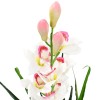 Zöld, cserepes műcsónakorchidea 100 cm