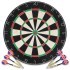 Szizálból készült professzionális darts tábla 6 nyíllal