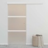 Ezüstszínű esg üveg és alumínium tolóajtó 90 x 212 cm
