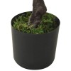 Zöld cserepes mű fenyőbonsai 60 cm