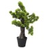 Zöld cserepes mű fenyőbonsai 60 cm