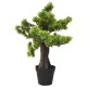 Zöld cserepes mű fenyőbonsai 60 cm Zöld cserepes mű fenyőbonsai 60 cm