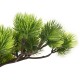 Zöld cserepes mű fenyőbonsai 60 cm Zöld cserepes mű fenyőbonsai 60 cm
