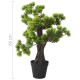 Zöld cserepes mű fenyőbonsai 60 cm Zöld cserepes mű fenyőbonsai 60 cm