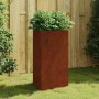 Corten acél kerti növénytartó 50x43x75 cm