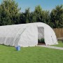 Fehér acélvázas melegház 120 m² 24 x 5 x 2,3 m