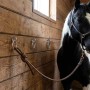 3 db ezüstszínű acél lókötőgyűrű szemes csavarokkal