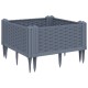 Szürke pp kerti virágláda cövekekkel 42,5 x 42,5 x 28,5 cm Szürke pp kerti virágláda cövekekkel 42,5 x 42,5 x 28,5 cm