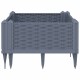 Szürke pp kerti virágláda cövekekkel 42,5 x 42,5 x 28,5 cm Szürke pp kerti virágláda cövekekkel 42,5 x 42,5 x 28,5 cm