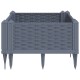 Szürke pp kerti virágláda cövekekkel 42,5 x 42,5 x 28,5 cm Szürke pp kerti virágláda cövekekkel 42,5 x 42,5 x 28,5 cm