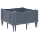 Szürke pp kerti virágláda cövekekkel 42,5 x 42,5 x 28,5 cm Szürke pp kerti virágláda cövekekkel 42,5 x 42,5 x 28,5 cm