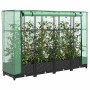 Rattan hatású magaságyás üvegháztakaróval 160 x 40 x 123 cm