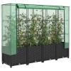 Rattan hatású magaságyás üvegháztakaróval 160 x 40 x 138 cm