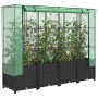 Rattan hatású magaságyás üvegháztakaróval 160 x 40 x 138 cm