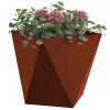 Növénytartó 2 pcs rozsdás 50 x 50 x 50 cm időjárásálló acél
