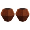 Növénytartó 2 pcs rozsdás 75 x 75 x 60 cm időjárásálló acél