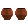 Növénytartó 2 pcs rozsdás 50 x 50 x 40 cm időjárásálló acél