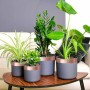 Rézszalag csigavédő 6 pcs réz 50 mm x 20 m réz