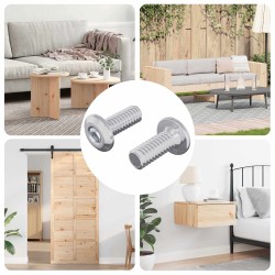 Fejzár csavar 2 pcs ezüst m6 x 15 mm acél