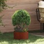 Ültető gyűrű 5 pcs barna 30 x 30 x 20 cm időjárásálló acél