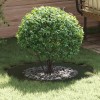 Alkalmas lapos fa gyűrűhöz oliva zöld ø50 / 80 cm acél