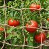Juta növénytámasz háló természetes 1 x 25 m 100% tossa juta
