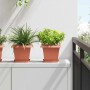 Négyzet virágcserép 24 pcs tégla vörös 20 x 20 x 16 cm műanyag