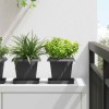 Négyzet virágcserép 24 pcs fekete 16 x 16 x 14 cm műanyag