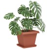Négyzetes virágtálca 6 pcs tégla vörös 32 x 32 x 2,5 cm műanyag