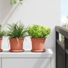 Növénycserép 6 pcs tégla vörös ø 15 x 12 cm műanyag