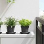 Növénycserép 6 pcs fekete ø 12,5 x 10 cm műanyag