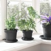 Növénycserép 6 pcs fekete ø 12,5 x 10 cm műanyag
