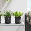 Növénycserép 6 pcs fekete ø 17 x 14 cm műanyag