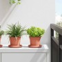 Növénycserép 24 pcs tégla vörös ø 12,5 x 10 cm műanyag