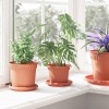 Növénycserép 24 pcs tégla vörös ø 12,5 x 10 cm műanyag