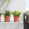 Növénycserép 24 pcs tégla vörös ø 17 x 14 cm műanyag