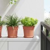 Növénycserép 24 pcs tégla vörös ø 19 x 16 cm műanyag