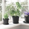 Növénycserép 24 pcs fekete ø 19 x 16 cm műanyag