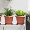 Növénycserép 6 pcs tégla vörös ø 22 x 18 cm műanyag