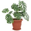 Növénycserép 6 pcs tégla vörös ø 26 x 21.5 cm műanyag