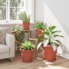Növénycserép 6 pcs tégla vörös ø 30 x 25 cm műanyag