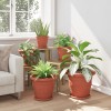 Növénycserép 6 pcs tégla vörös ø 34 x 28 cm műanyag