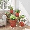 Növénycserép 6 pcs tégla vörös ø 39 x 32 cm műanyag
