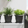 Növénycserép 6 pcs fekete ø 22 x 18 cm műanyag