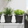 Növénycserép 6 pcs fekete ø 22 x 18 cm műanyag