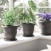 Növénycserép 6 pcs fekete ø 22 x 18 cm műanyag