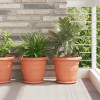 Növénycserép 24 pcs tégla vörös ø 30 x 25 cm műanyag