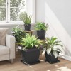 Növénycserép 6 pcs fekete 38 x 38 x 30 cm műanyag