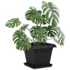 Növénycserép 6 pcs fekete 38 x 38 x 30 cm műanyag