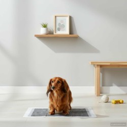 Háziállat képző párna egyszínű 100 pcs 60 x 60 cm